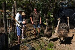 Namibia_April_2025 (3/79)